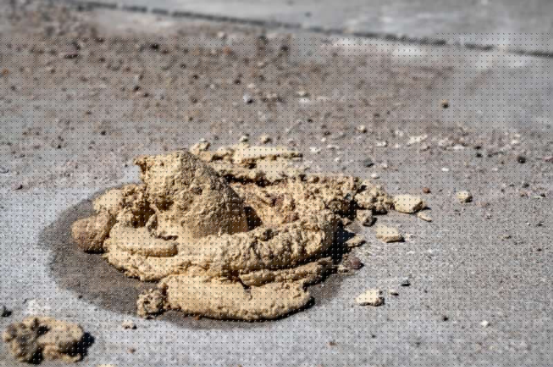 Concrete Foundation Repair